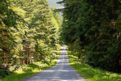 CYKLO-21.6.-2025-2025-BESKYDY-2934-ve-velke-velikosti
