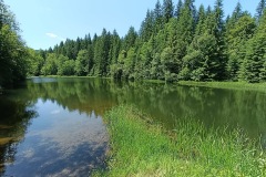 CYKLO-21.6.-2025-2025-BESKYDY-2940-ve-velke-velikosti