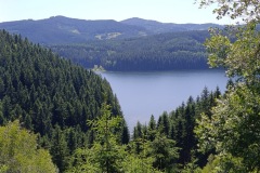 CYKLO-21.6.-2025-2025-BESKYDY-3238-ve-velke-velikosti