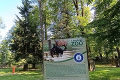 CYKLO-21.6.-2025-2025-BESKYDY-3484-ve-velke-velikosti