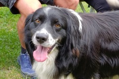 cyklo_hukvaldy_1094-ve-velke-velikosti