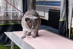 cyklo_hukvaldy_1295-ve-velke-velikosti