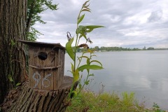 cyklo_hukvaldy_1747-ve-velke-velikosti