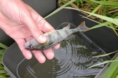 cyklo_hukvaldy_1803-ve-velke-velikosti