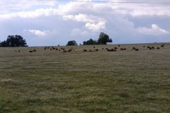 cyklo_hukvaldy_2052-ve-velke-velikosti