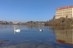 PLUMLOV_-255-ve-velke-velikosti