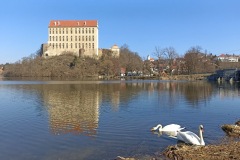 PLUMLOV_-263-ve-velke-velikosti