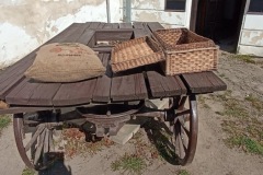 PLUMLOV_-343-ve-velke-velikosti