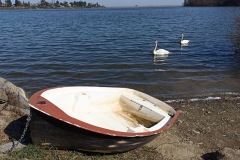 PLUMLOV_-441-ve-velke-velikosti