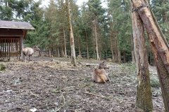 Den_vody_Sance_4730