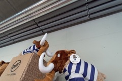 6.7.-2025Visuty-most-SKY-BRIDGE-24.5.-2025-Dolni-Morava-214-ve-velke-velikosti