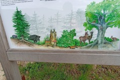 6.7.-2025Visuty-most-SKY-BRIDGE-24.5.-2025-Dolni-Morava-2405-ve-velke-velikosti