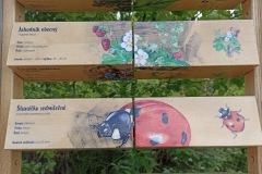 6.7.-2025Visuty-most-SKY-BRIDGE-24.5.-2025-Dolni-Morava-337-ve-velke-velikosti