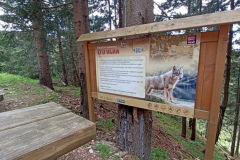 6.7.-2025Visuty-most-SKY-BRIDGE-24.5.-2025-Dolni-Morava-638-ve-velke-velikosti