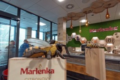 MARLENKA-12.4.-2025-exkurze-okolo-reky-OSTRAVICE-FM-3911-ve-velke-velikosti