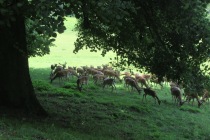 IMG_0199-ve-velke-velikosti