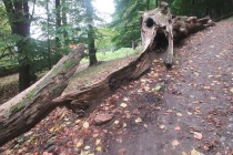 IMG_2219-ve-velke-velikosti