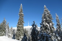 IMG_5120-ve-velke-velikosti