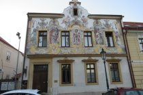 IMG_0102