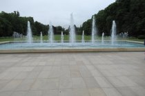 IMG_0241