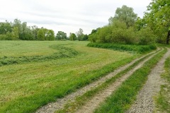 POODRI10.5.-2025-1085-ve-velke-velikosti