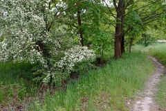 POODRI10.5.-2025-267-ve-velke-velikosti