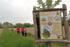 POODRI10.5.-2025-268-ve-velke-velikosti