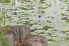 POODRI10.5.-2025-282-ve-velke-velikosti