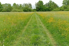 POODRI10.5.-2025-284-ve-velke-velikosti