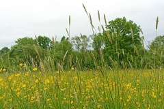 POODRI10.5.-2025-287-ve-velke-velikosti