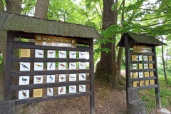 POODRI10.5.-2025-335-ve-velke-velikosti