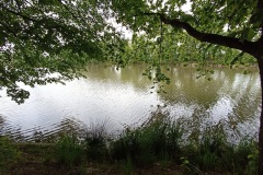 POODRI10.5.-2025-343-ve-velke-velikosti