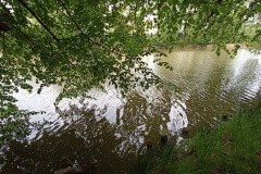 POODRI10.5.-2025-389-ve-velke-velikosti