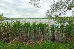 POODRI10.5.-2025-416-ve-velke-velikosti