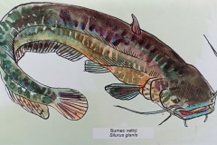 POODRI10.5.-2025-498-ve-velke-velikosti