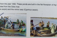 POODRI10.5.-2025-508-ve-velke-velikosti