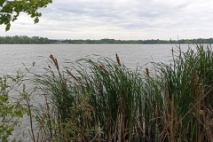 POODRI10.5.-2025-540-ve-velke-velikosti