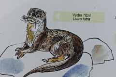 POODRI10.5.-2025-600-ve-velke-velikosti