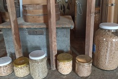 POODRI10.5.-2025-838-ve-velke-velikosti