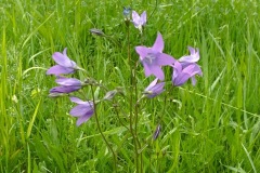 POODRI10.5.-2025-883-ve-velke-velikosti