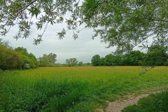 POODRI10.5.-2025-901-ve-velke-velikosti