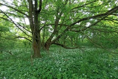 POODRI10.5.-2025-908-ve-velke-velikosti