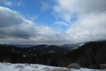 IMG_7238