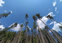 Šumava (cyklo i pěší)