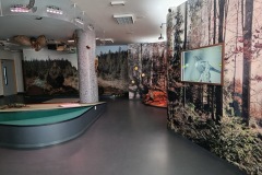 CYKLO-SUMAVA-1.7.-6.7.-2025-1213-ve-velke-velikosti