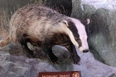 CYKLO-SUMAVA-1.7.-6.7.-2025-1234-ve-velke-velikosti