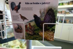 CYKLO-SUMAVA-1.7.-6.7.-2025-1244-ve-velke-velikosti