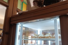 CYKLO-SUMAVA-1.7.-6.7.-2025-1269-ve-velke-velikosti