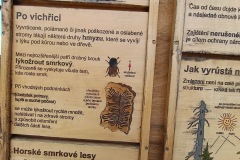 CYKLO-SUMAVA-1.7.-6.7.-2025-1398-ve-velke-velikosti