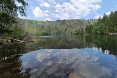 CYKLO-SUMAVA-1.7.-6.7.-2025-2224-ve-velke-velikosti